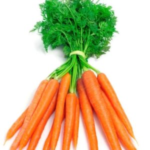 Carrot